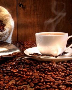 Dünya Kahveleri Java 500 gr