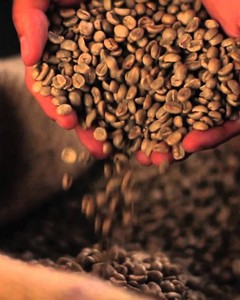 Dünya Kahveleri Brezilya 500 gr