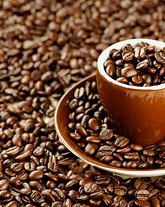 Dünya Kahveleri Costa Rica 500 gr
